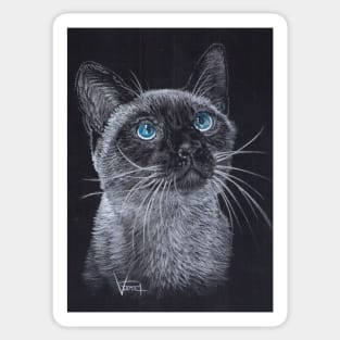 Siamese Cat Sticker